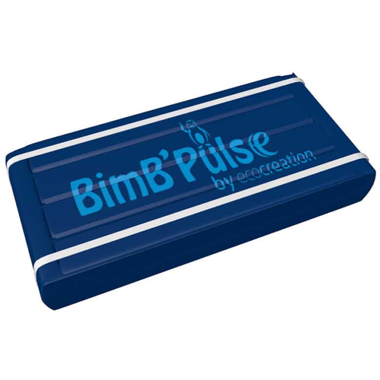 BIMB Pulse module 31