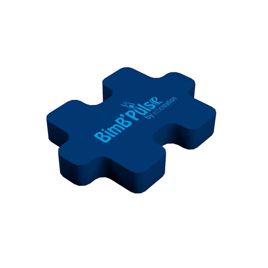 Module 41 <br/> Puzzle bleu